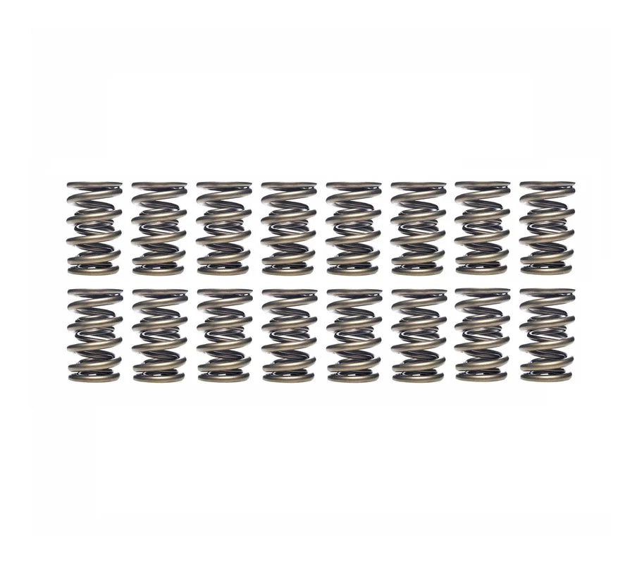 Ferrea 80lbs Exhaust Dual Valve Spring Kit - VW/Audi / 4.2T 40V
