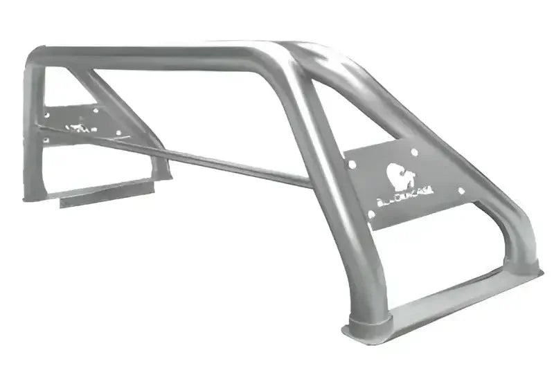 Black Horse RB002SS Classic Roll Bar Stainless Steel